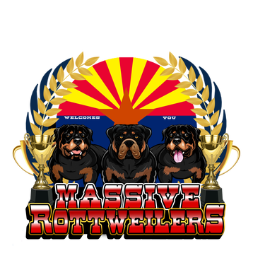 Massive&nbsp;Rottweilers
